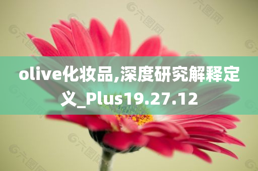 olive化妆品,深度研究解释定义_Plus19.27.12