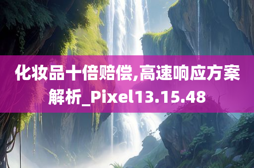 化妆品十倍赔偿,高速响应方案解析_Pixel13.15.48