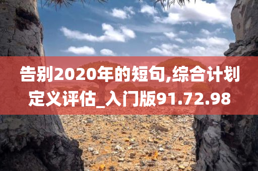 告别2020年的短句,综合计划定义评估_入门版91.72.98