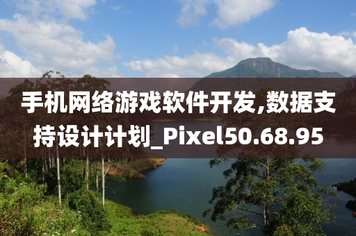 手机网络游戏软件开发,数据支持设计计划_Pixel50.68.95