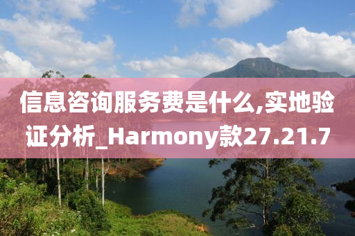 信息咨询服务费是什么,实地验证分析_Harmony款27.21.70