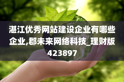 湛江优秀网站建设企业有哪些企业,郡未来网络科技_理财版423897