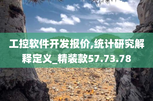 工控软件开发报价,统计研究解释定义_精装款57.73.78