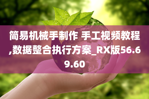 简易机械手制作 手工视频教程,数据整合执行方案_RX版56.69.60