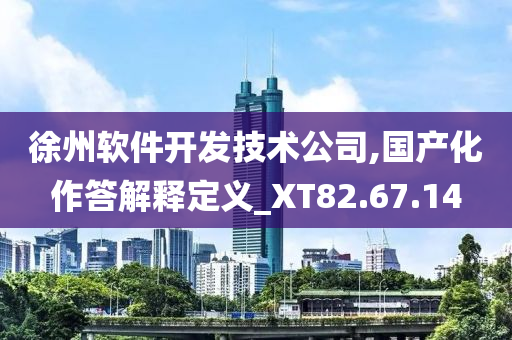 徐州软件开发技术公司,国产化作答解释定义_XT82.67.14