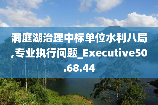 洞庭湖治理中标单位水利八局,专业执行问题_Executive50.68.44