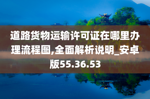 道路货物运输许可证在哪里办理流程图,全面解析说明_安卓版55.36.53