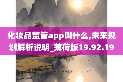 化妆品监管app叫什么,未来规划解析说明_薄荷版19.92.19