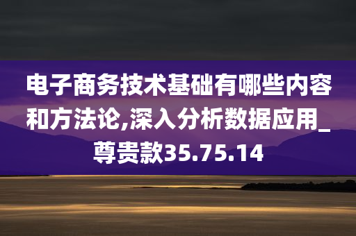 电子商务技术基础有哪些内容和方法论,深入分析数据应用_尊贵款35.75.14