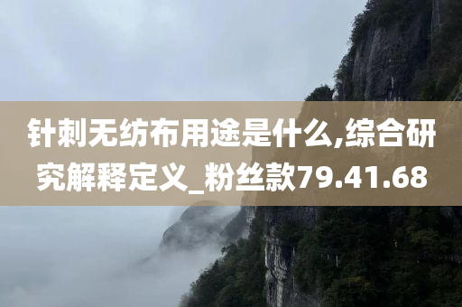 针刺无纺布用途是什么,综合研究解释定义_粉丝款79.41.68