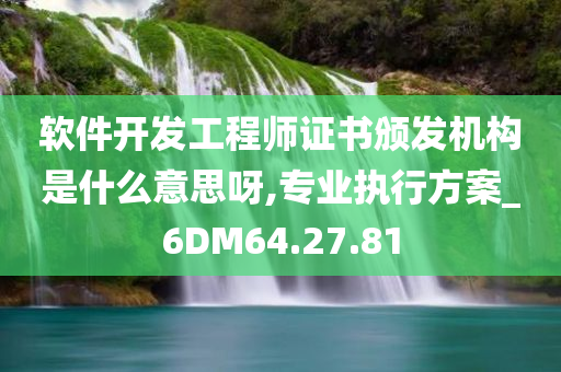 软件开发工程师证书颁发机构是什么意思呀,专业执行方案_6DM64.27.81