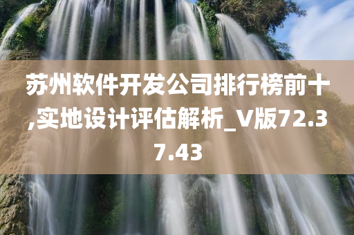 苏州软件开发公司排行榜前十,实地设计评估解析_V版72.37.43