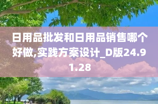 日用品批发和日用品销售哪个好做,实践方案设计_D版24.91.28