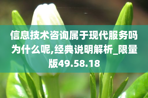 信息技术咨询属于现代服务吗为什么呢,经典说明解析_限量版49.58.18