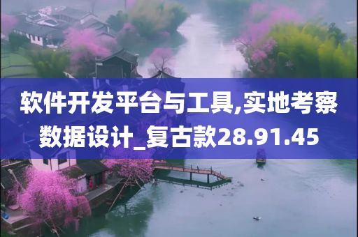 软件开发平台与工具,实地考察数据设计_复古款28.91.45