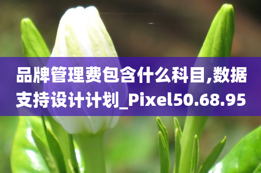 品牌管理费包含什么科目,数据支持设计计划_Pixel50.68.95