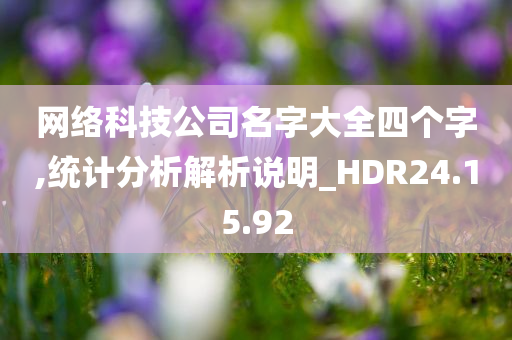 网络科技公司名字大全四个字,统计分析解析说明_HDR24.15.92