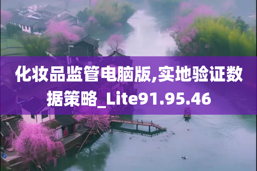 化妆品监管电脑版,实地验证数据策略_Lite91.95.46