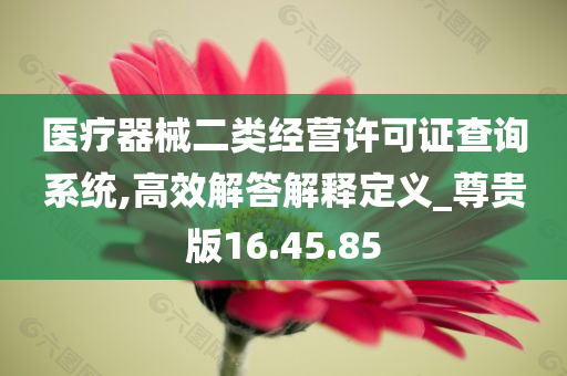 医疗器械二类经营许可证查询系统,高效解答解释定义_尊贵版16.45.85