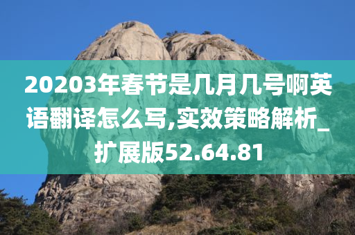 20203年春节是几月几号啊英语翻译怎么写,实效策略解析_扩展版52.64.81