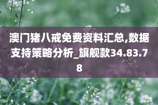 澳门猪八戒免费资料汇总,数据支持策略分析_旗舰款34.83.78