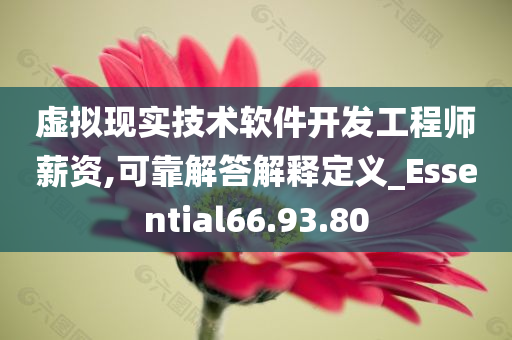 虚拟现实技术软件开发工程师薪资,可靠解答解释定义_Essential66.93.80