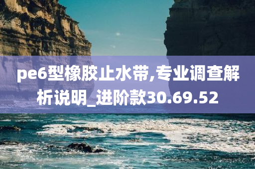 pe6型橡胶止水带,专业调查解析说明_进阶款30.69.52