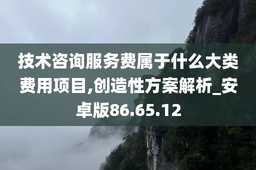 技术咨询服务费属于什么大类费用项目,创造性方案解析_安卓版86.65.12