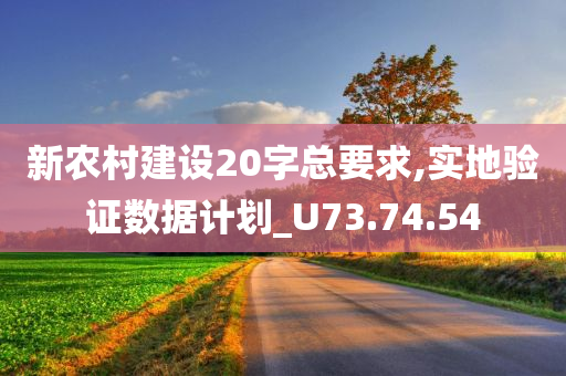 新农村建设20字总要求,实地验证数据计划_U73.74.54