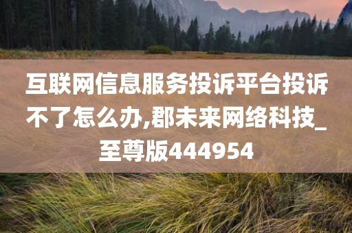 互联网信息服务投诉平台投诉不了怎么办,郡未来网络科技_至尊版444954