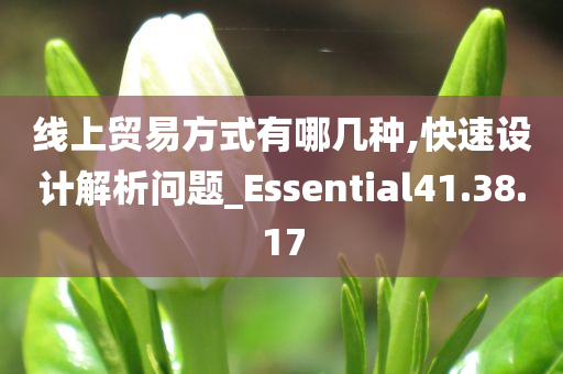 线上贸易方式有哪几种,快速设计解析问题_Essential41.38.17