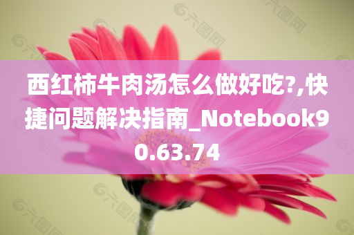 西红柿牛肉汤怎么做好吃?,快捷问题解决指南_Notebook90.63.74