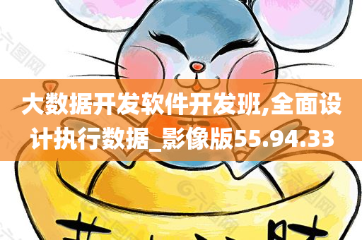 大数据开发软件开发班,全面设计执行数据_影像版55.94.33