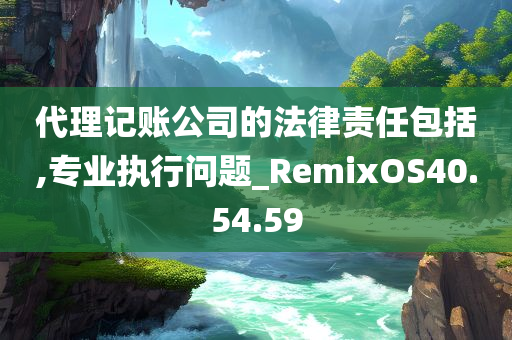 代理记账公司的法律责任包括,专业执行问题_RemixOS40.54.59