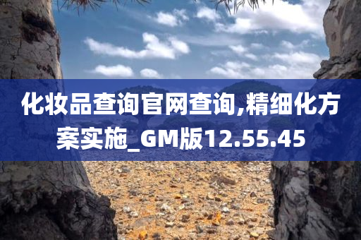 化妆品查询官网查询,精细化方案实施_GM版12.55.45