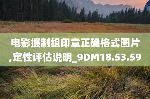 电影摄制组印章正确格式图片,定性评估说明_9DM18.53.59