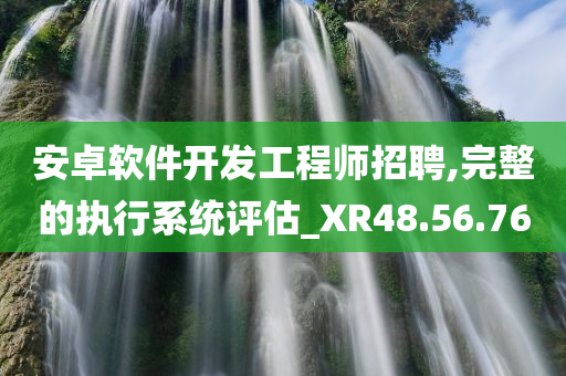 安卓软件开发工程师招聘,完整的执行系统评估_XR48.56.76