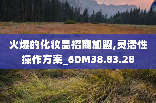 火爆的化妆品招商加盟,灵活性操作方案_6DM38.83.28