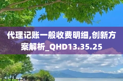 代理记账一般收费明细,创新方案解析_QHD13.35.25