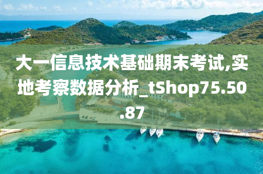 大一信息技术基础期末考试,实地考察数据分析_tShop75.50.87