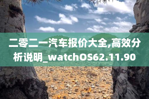 二零二一汽车报价大全,高效分析说明_watchOS62.11.90