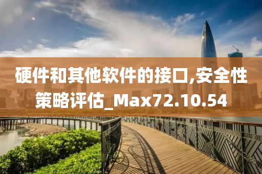 硬件和其他软件的接口,安全性策略评估_Max72.10.54