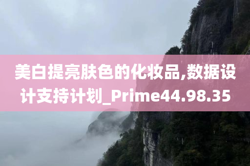 美白提亮肤色的化妆品,数据设计支持计划_Prime44.98.35