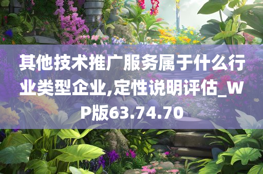 其他技术推广服务属于什么行业类型企业,定性说明评估_WP版63.74.70