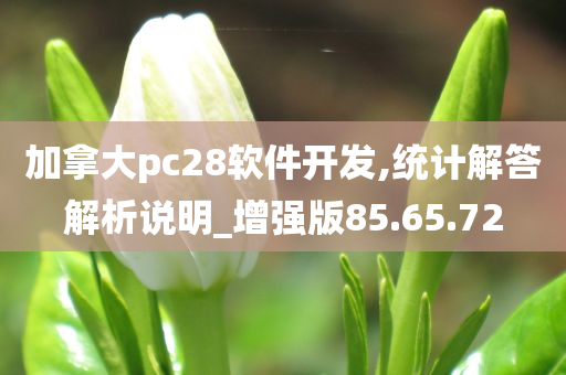 加拿大pc28软件开发,统计解答解析说明_增强版85.65.72