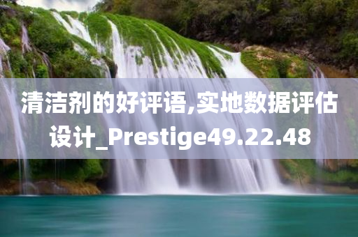 清洁剂的好评语,实地数据评估设计_Prestige49.22.48