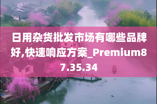 日用杂货批发市场有哪些品牌好,快速响应方案_Premium87.35.34