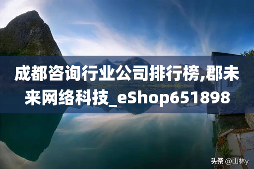 成都咨询行业公司排行榜,郡未来网络科技_eShop651898