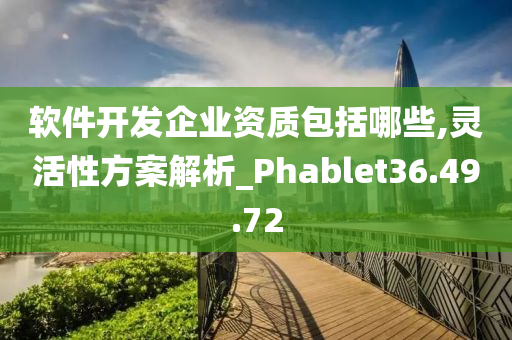 软件开发企业资质包括哪些,灵活性方案解析_Phablet36.49.72