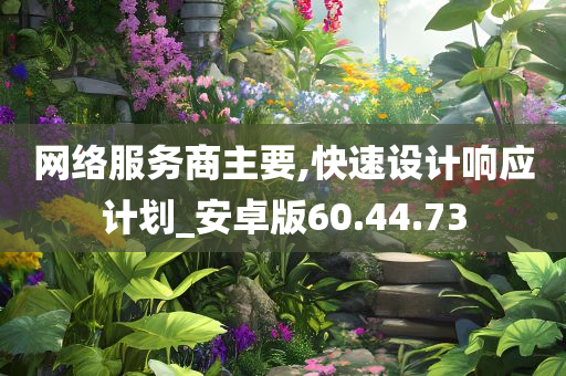 网络服务商主要,快速设计响应计划_安卓版60.44.73